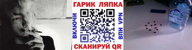 ГАШ Изолятор  MEGA ссылки  Истра 