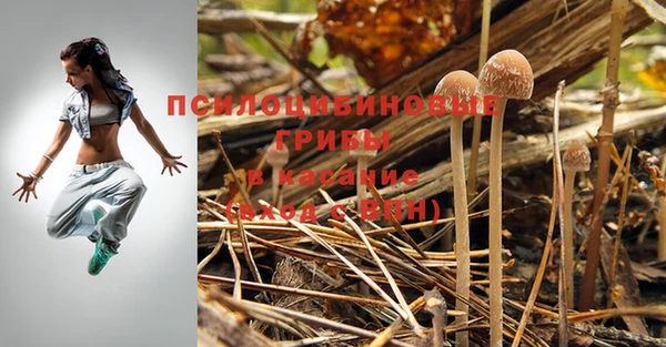 круглые Абаза