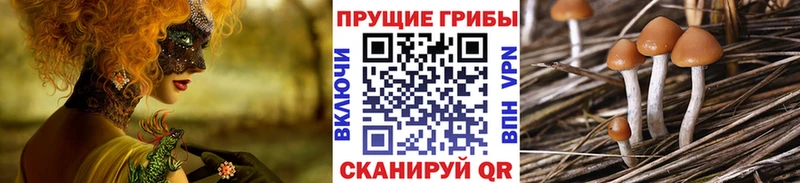 Псилоцибиновые грибы мухоморы  купить наркоту  Истра 
