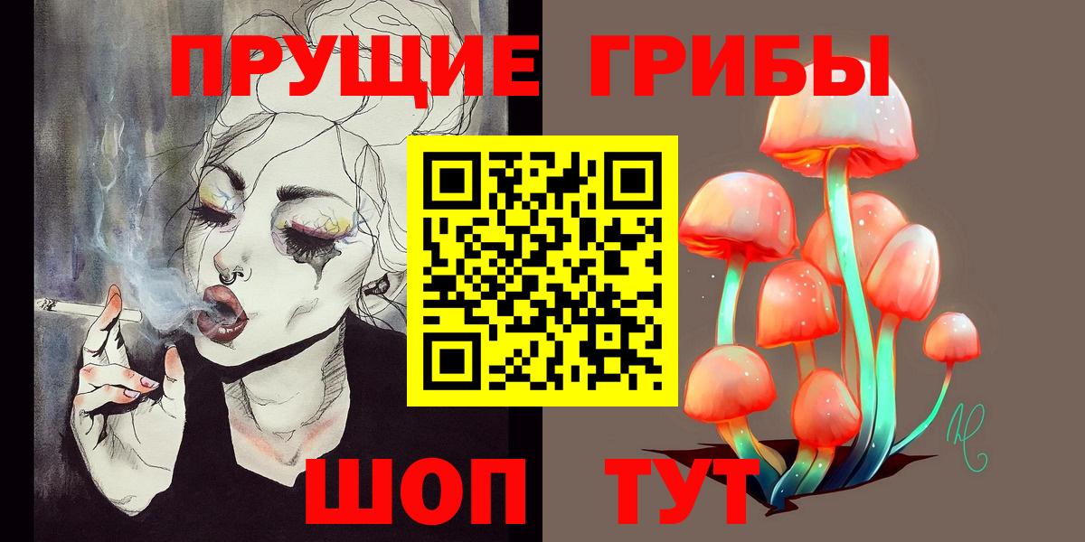 Псилоцибиновые грибы Psilocybine cubensis Истра